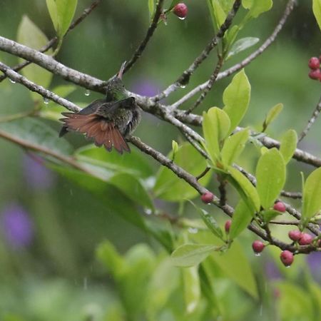Aves De Tierras Altas Villa Бихагуа Екстериор снимка