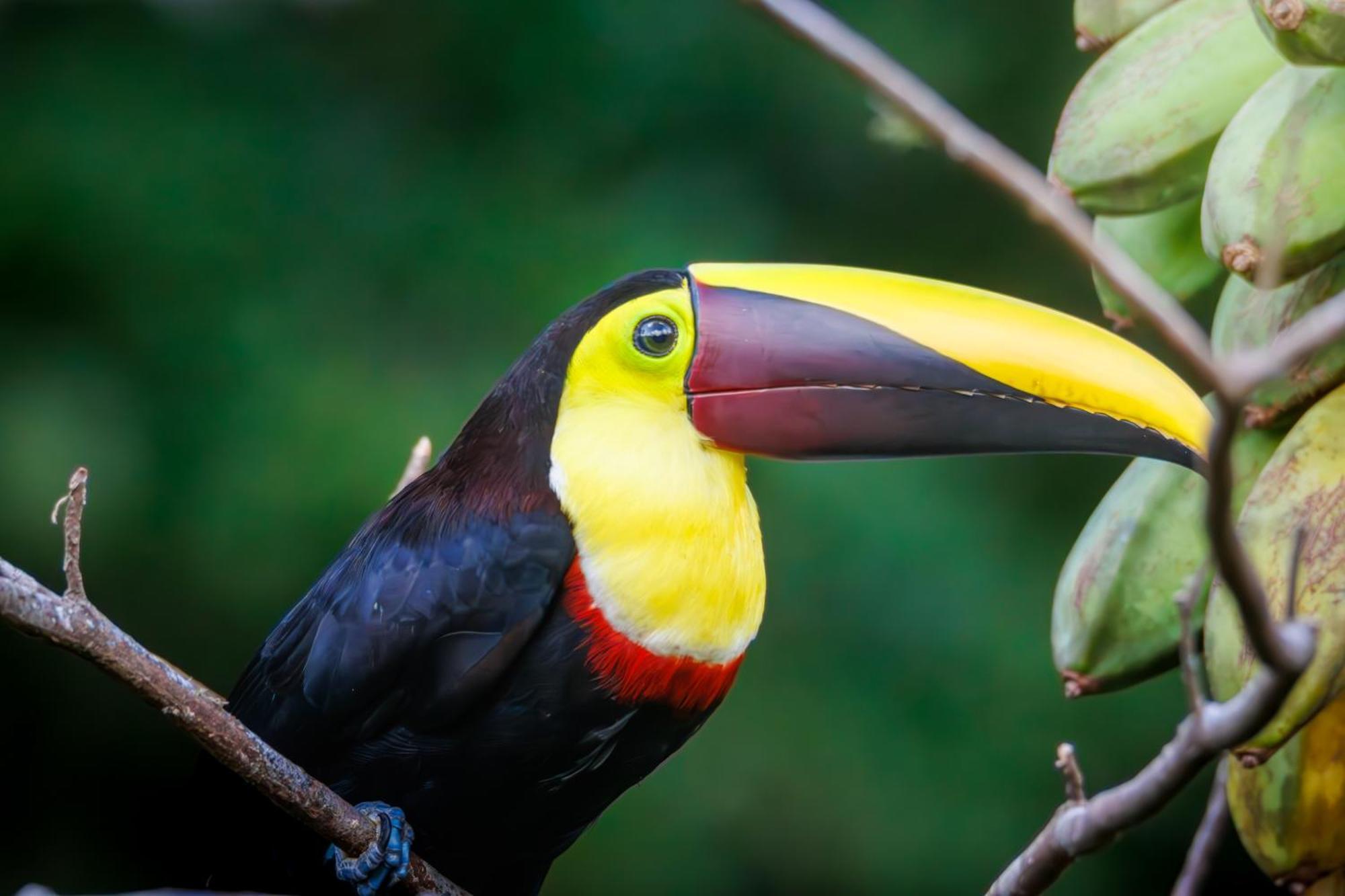 Aves De Tierras Altas Villa Бихагуа Екстериор снимка