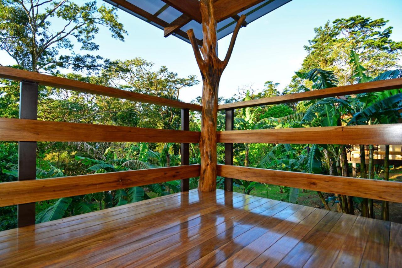 Aves De Tierras Altas Villa Бихагуа Екстериор снимка