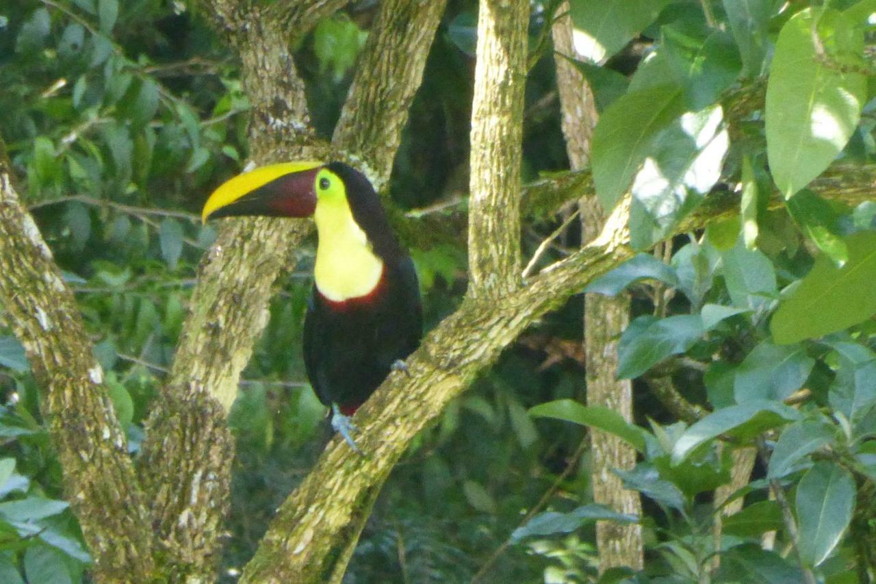 Aves De Tierras Altas Villa Бихагуа Екстериор снимка